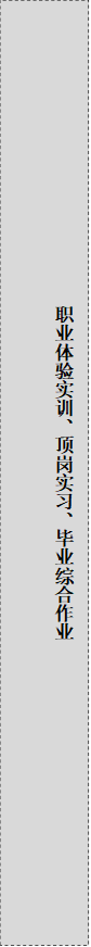 职业体验实训、顶岗实习、毕业综合作业